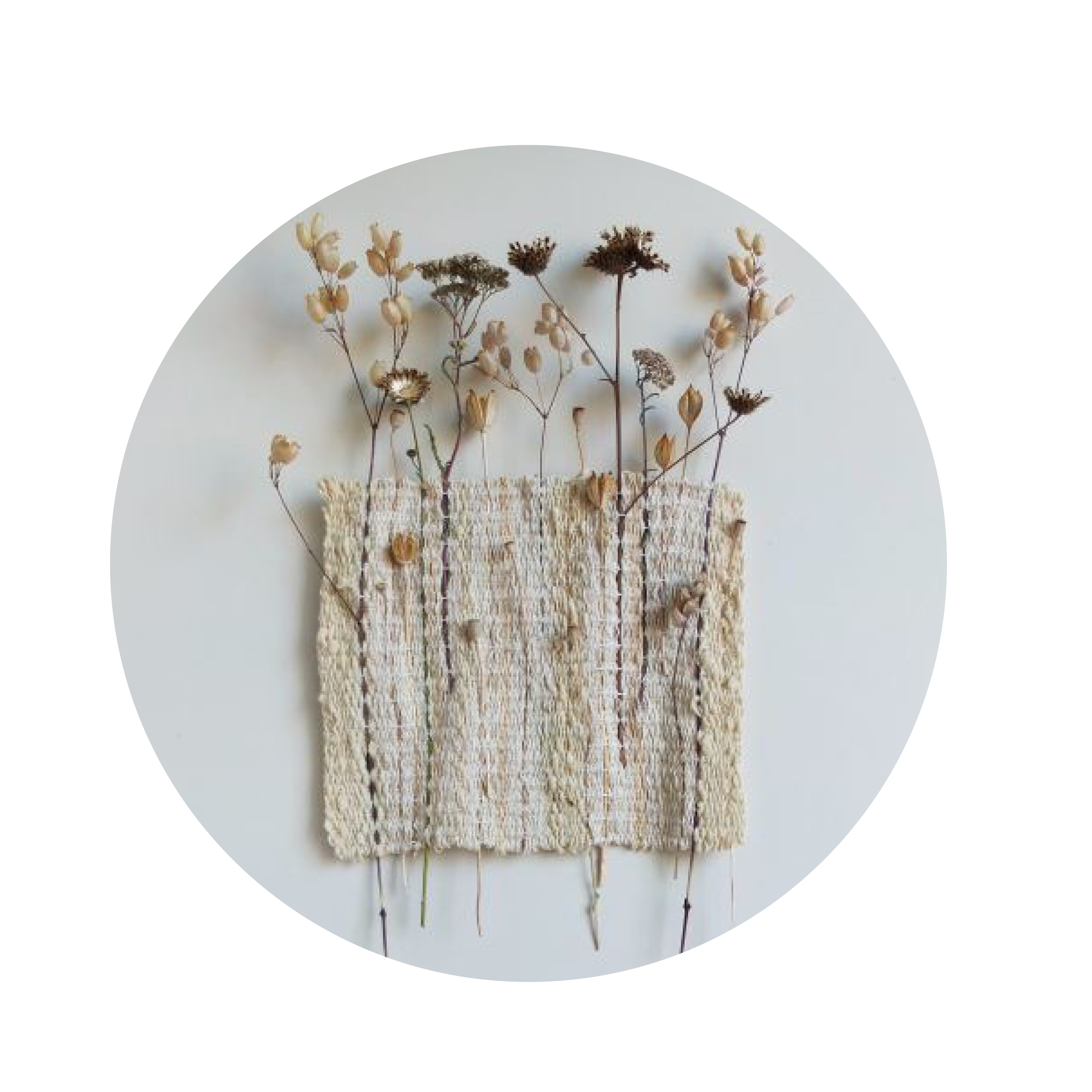 WORKSHOP TESSITURA BOTANICA - 30/11