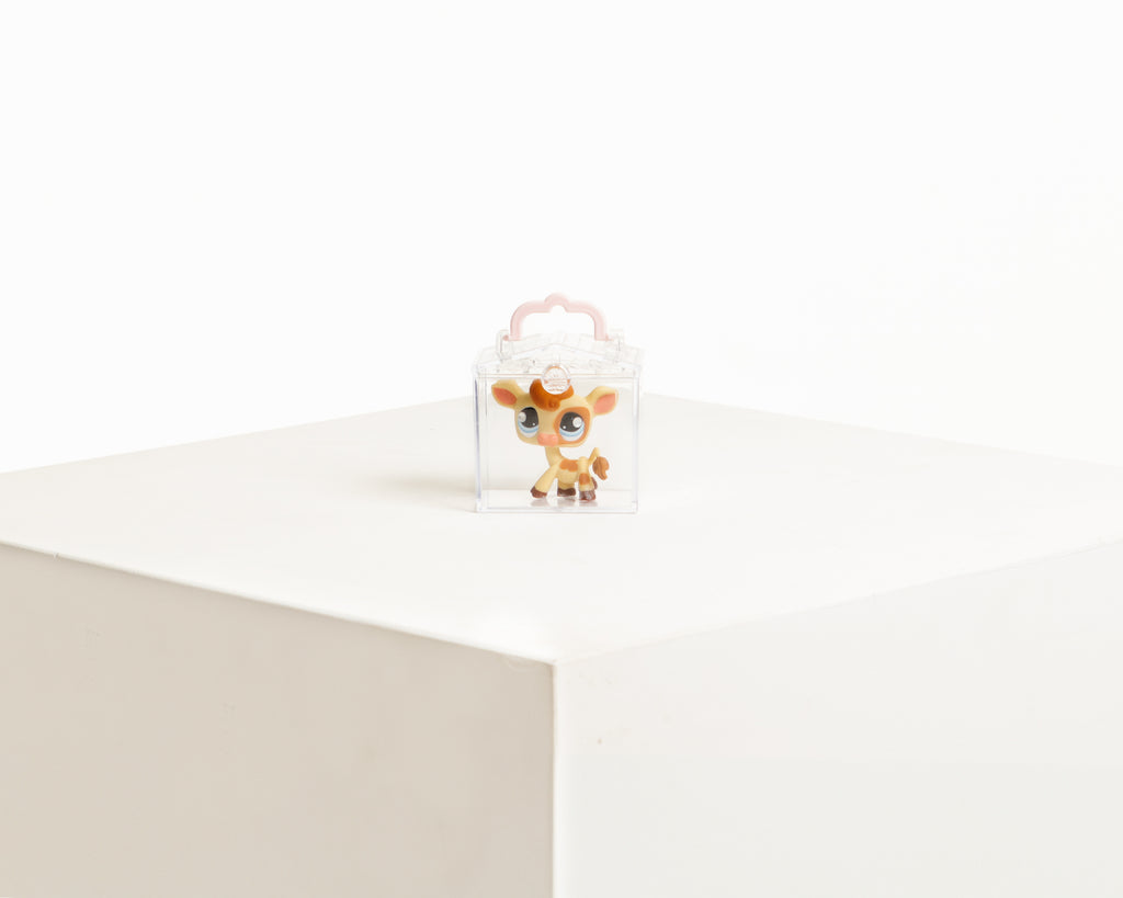 mini LPS keychain house