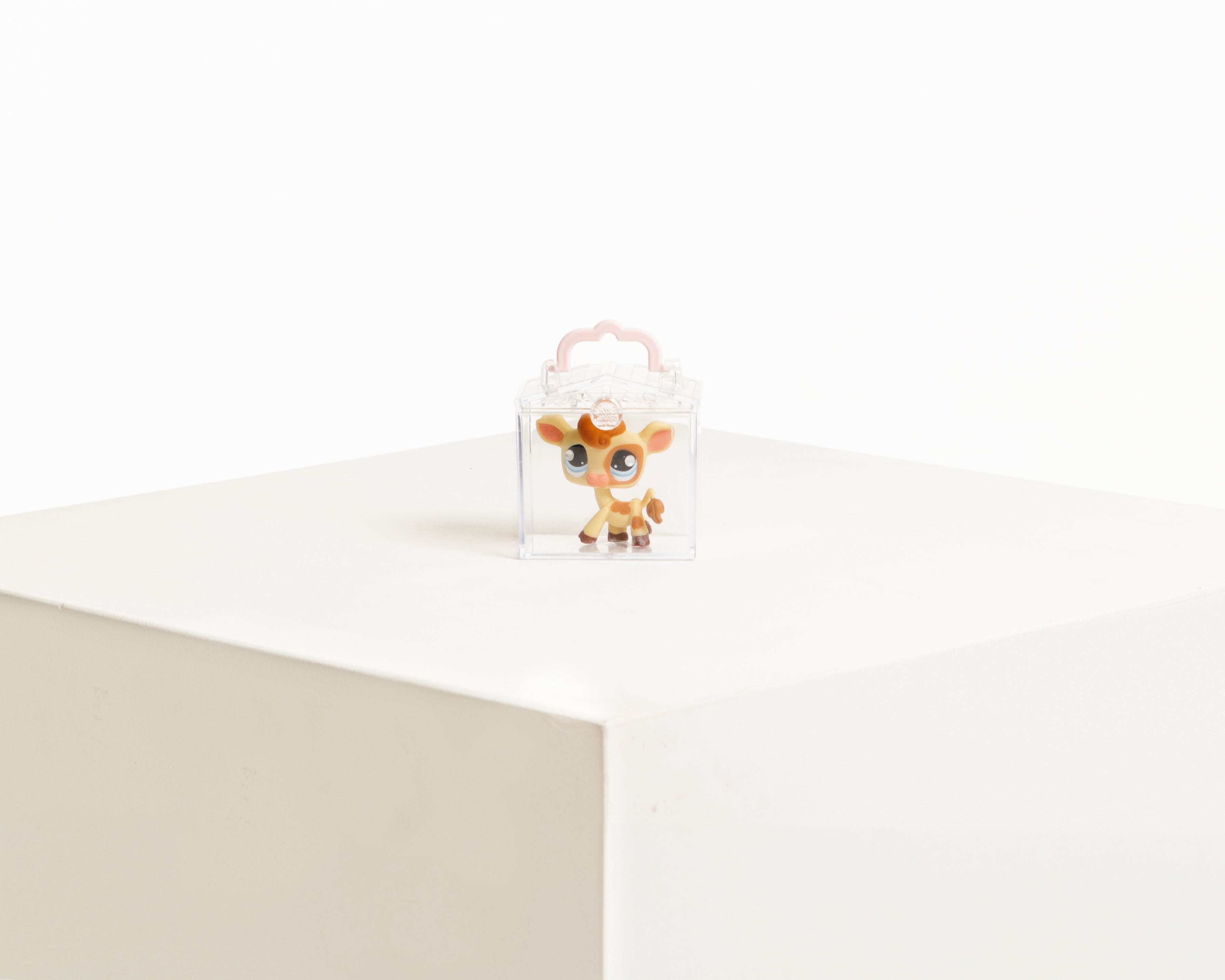 mini LPS keychain house